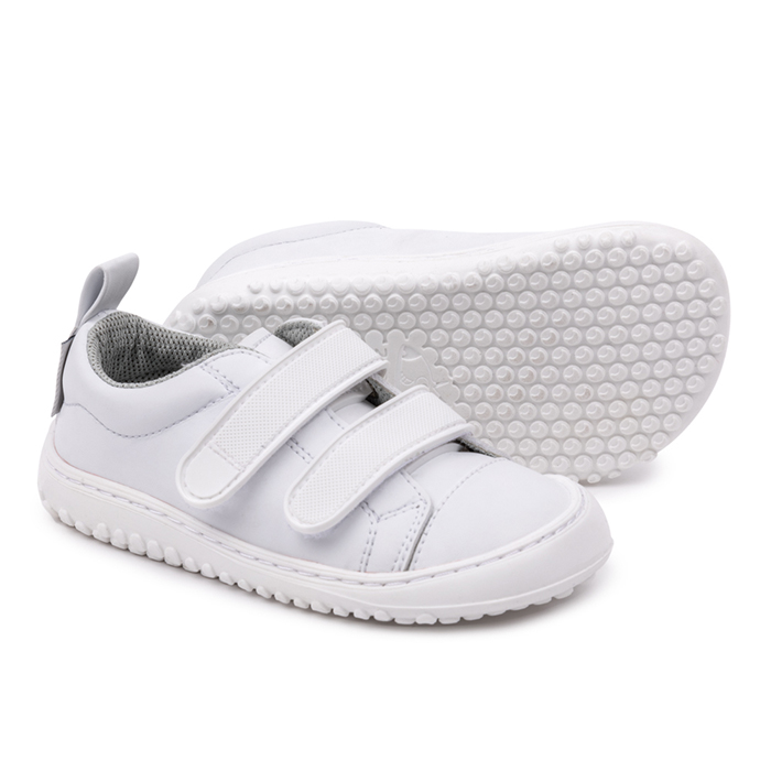 zapatoferoz